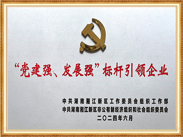 党建强、发展强、标杆引领企业（湘江新区）